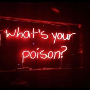 Meet your Posher, Marley